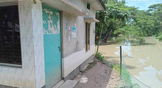 image-here
